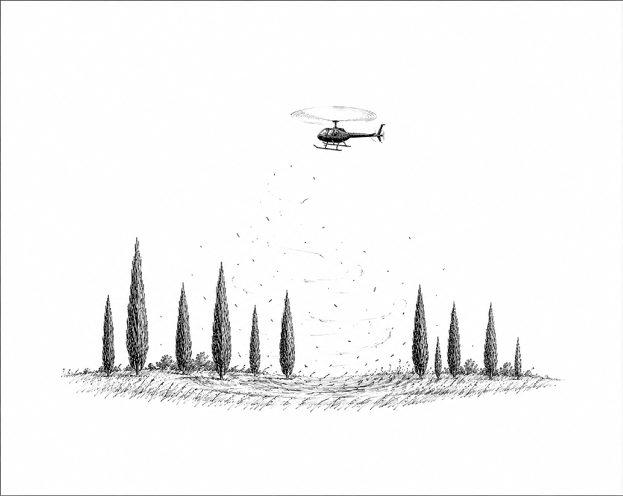 Een helikopter boven de cipressen